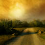 Premade stock 23