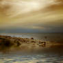 Sea stock 12