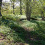 Spring stock