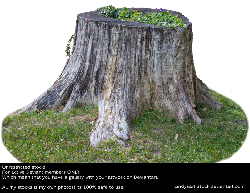 Stump 4 by cindysart-stock