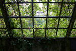 Greenhouse 3  By Cindysart-stock