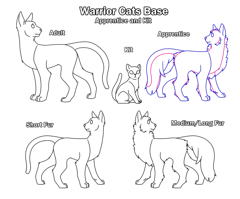 Warrior Cats - F2U Apprentice and Kit Base by Jesterday00 on DeviantArt