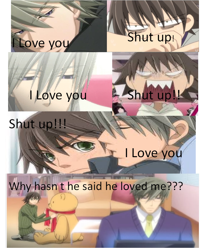 Junjou romantica I love you