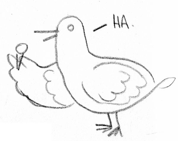 A stupid simple cartoony pencil sketch of a pigeon holding a microphone with one wing-hand, going HA like a bad stand-up comedian.