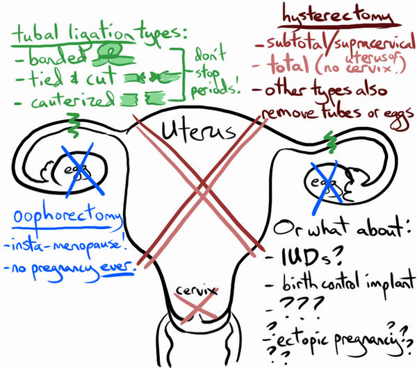 A little infographic illustrating oophrectomy, hysterectomy, and tubal ligation, making it clear that there are many options and how does one choose?