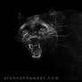 Black Panther 03