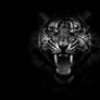 Dark Side II