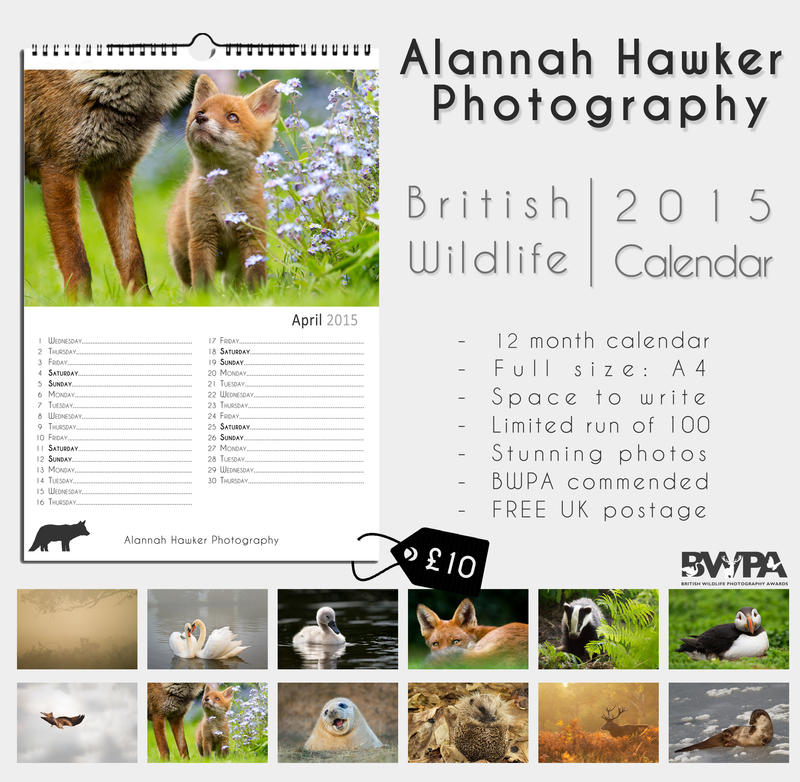 2015 - British Wildlife Calendar