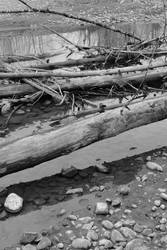 Rocks, logs and a river