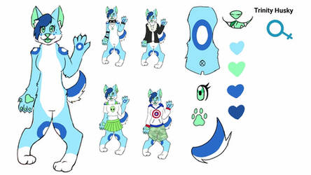 Trinity Husky reference sheet *improved*