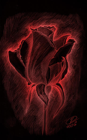 Diabolical Roses Devil Rose by RexKing on DeviantArt