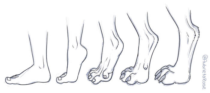 Feet Transform Explore the Best Werewolf_transformation Art | DeviantArt