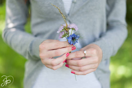 Field Flowers