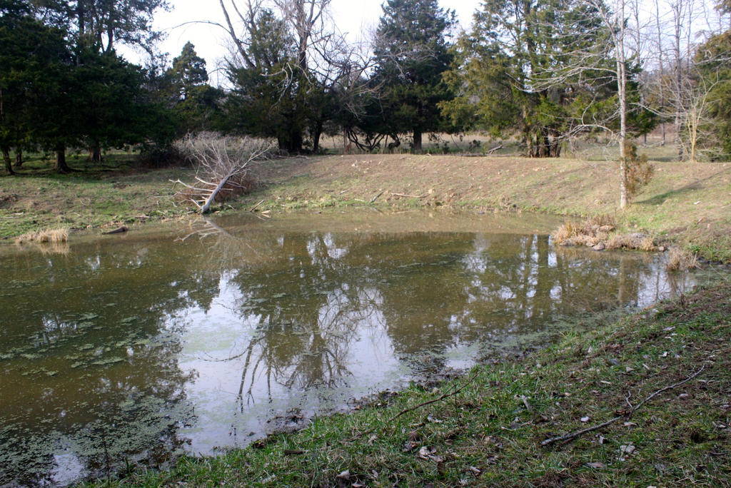 Pond 2