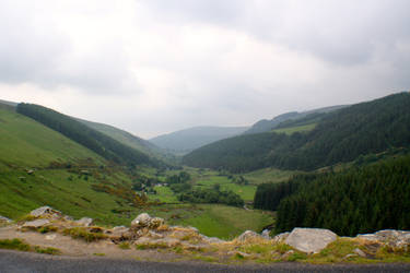 Sally Gap 8