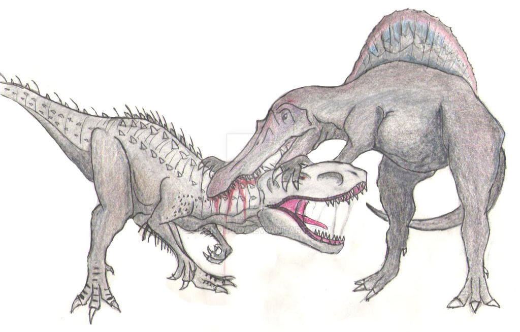 Тирекс спинозавр. Спинозавр Руди против Индоминуса Рекса. Индоминус рекс против Спинозавра. Индоминус рекс и Барионикс Руди. Тираннозавр рекс против Спинозавр.