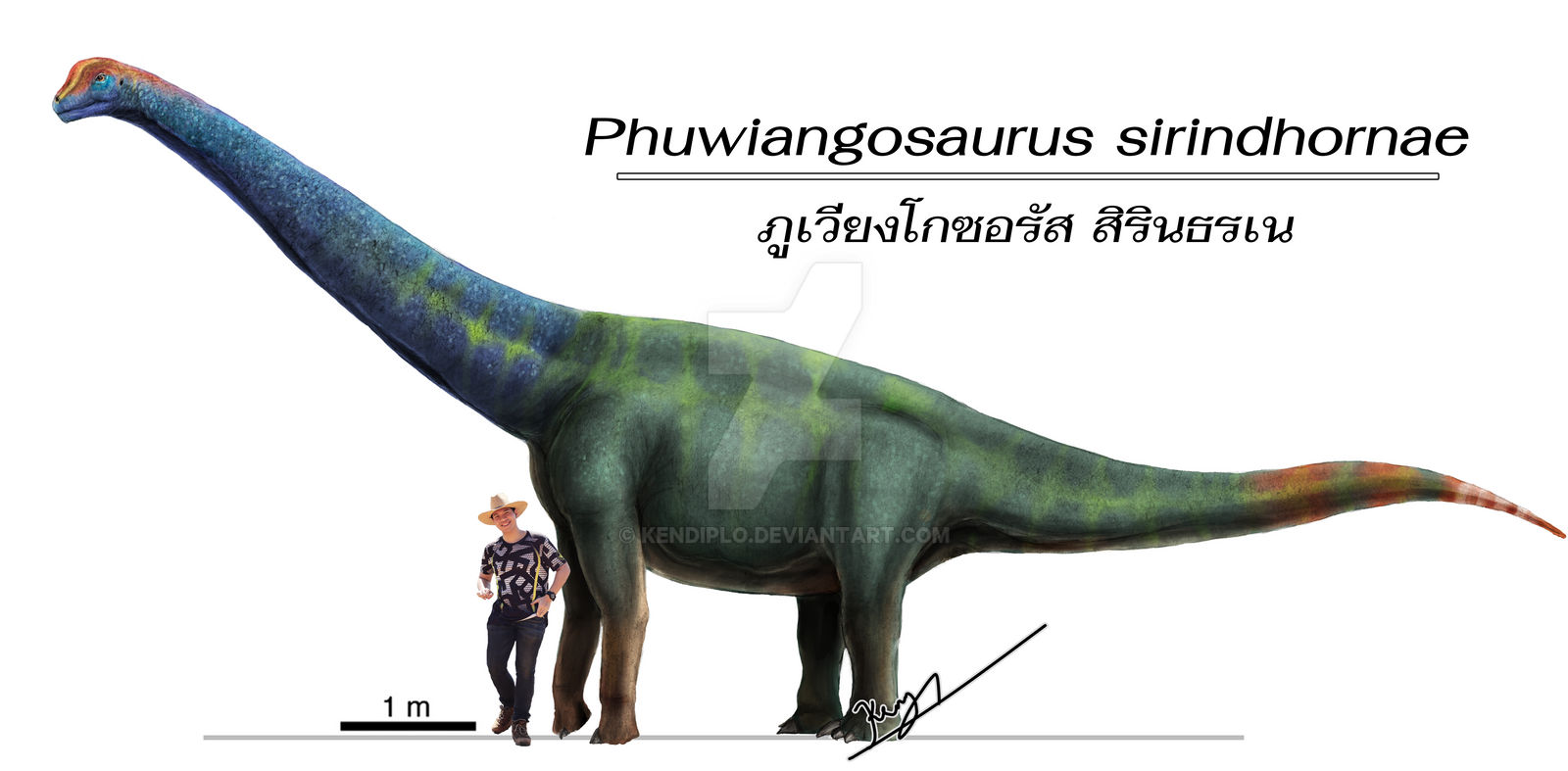 Phuwiangosaurus sirindhornae by Kendiplo on DeviantArt