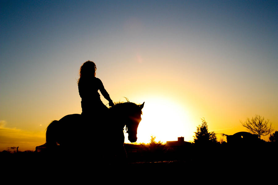 Freedom Is A Riding Riding into freedom by LadyInViolette on DeviantArt