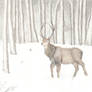 Winter Sentinel Sketch