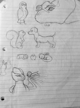 Doctor who animal Doodles