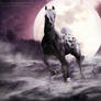 Moonkissed