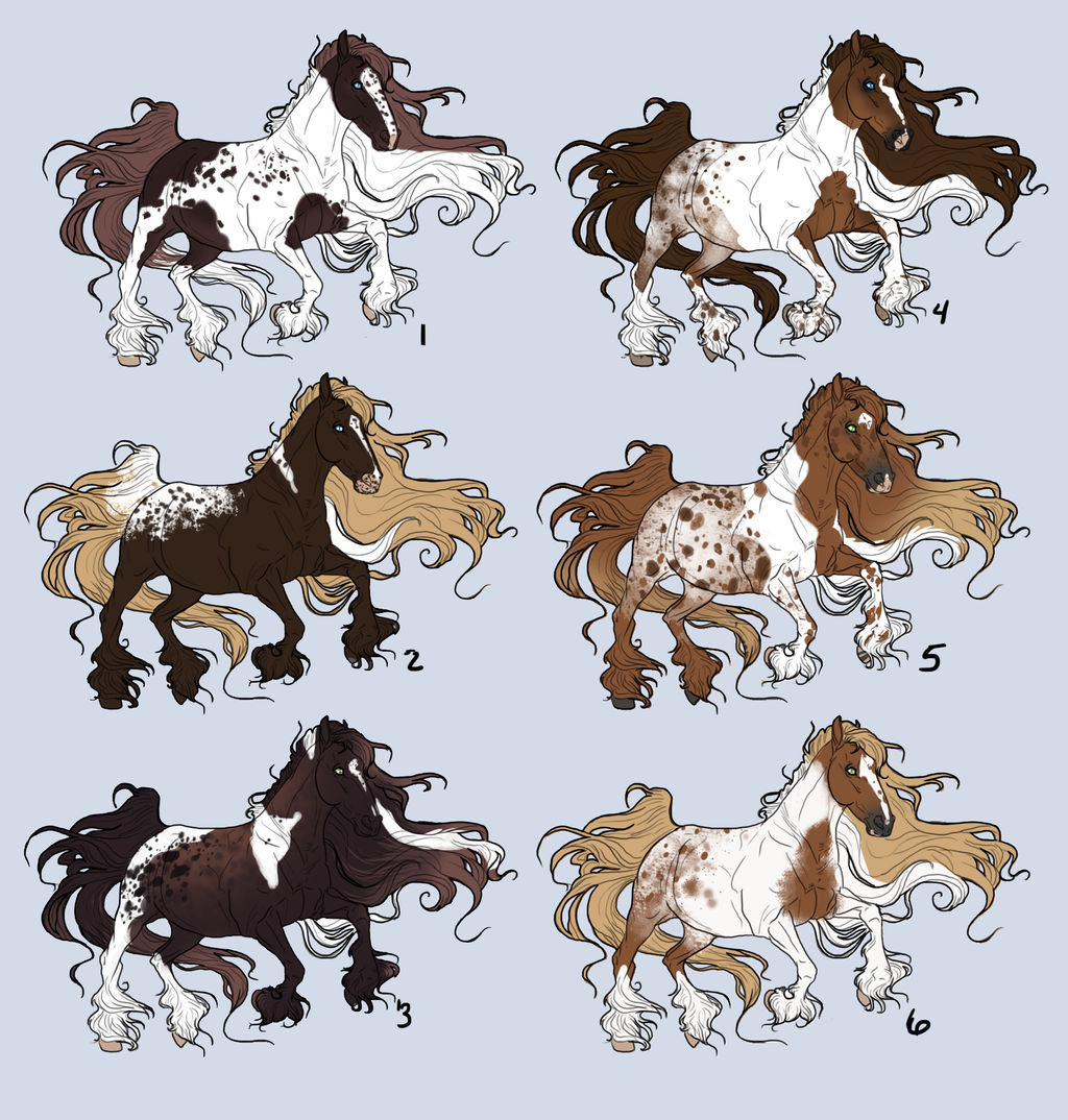 [ADOPTABLES] The Chestnut Pintaloosa Collection