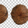 Wallnut PNG