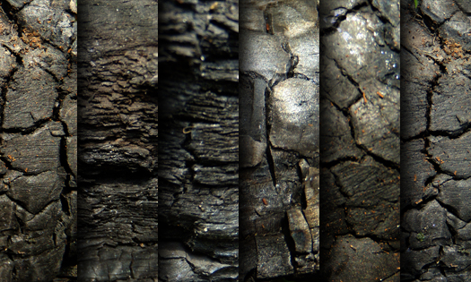 Charred wood - texture pack
