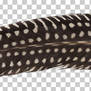 Guineafowl feather PNG