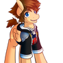 Sora Pony