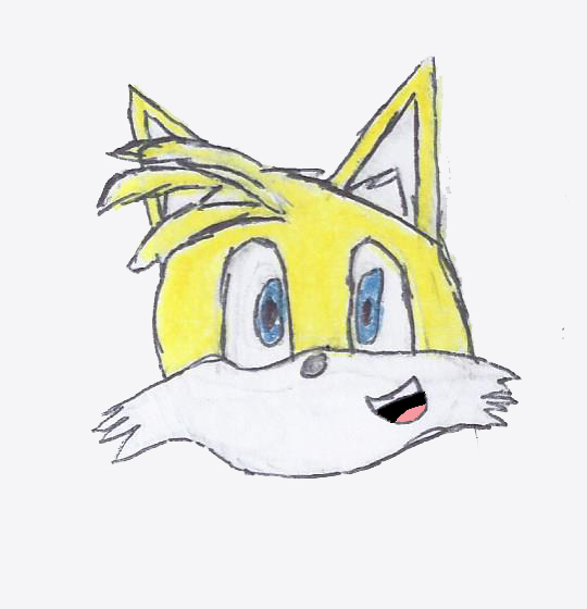 Tails Headshot Tails Head by Airplanepilot501 on DeviantArt