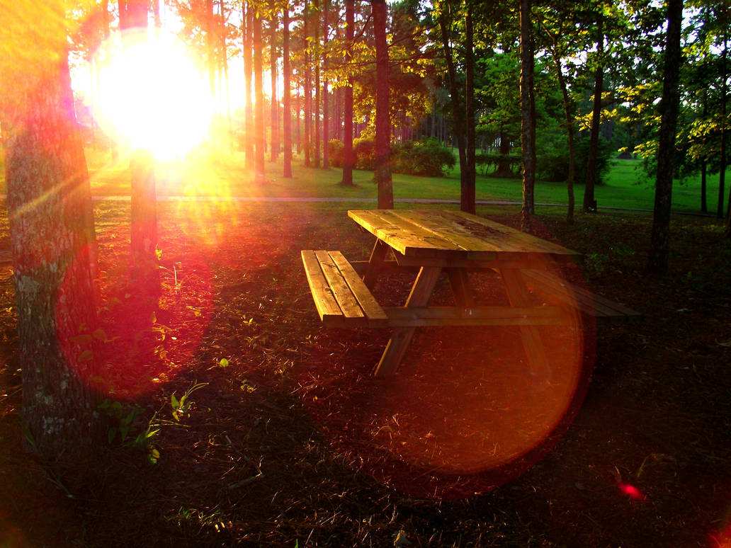 Abandoned Picnic