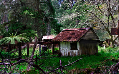 Cottage in the wood