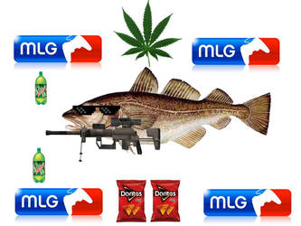 Cod Fish Mlg