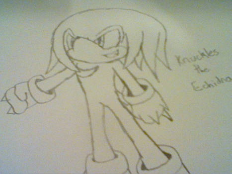 Knuckles the Echidna