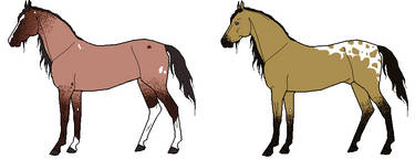 For the Mare and Foal Adopt #3