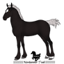 A4309 Foal Design