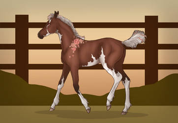 Cherry's First Time on her Own