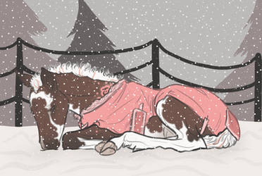 Flowers in a Blanket