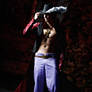 Dracule Mihawk - One Piece - Cosplay