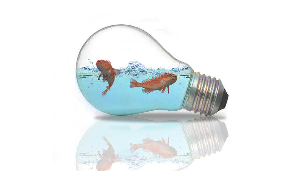 Fish In Bulb Fish in a Lightbulb by PhotoshopEinstein on DeviantArt