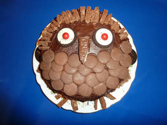 Mad Owl Cake