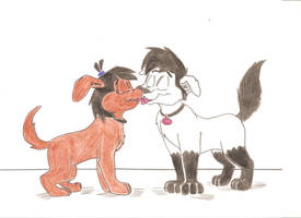 Canine Sam and Danny Kissing