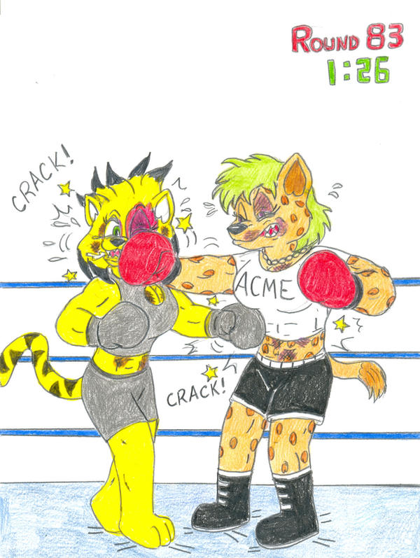 Hillary Boxing Boxing Netra vs Hillary by Jose-Ramiro on DeviantArt