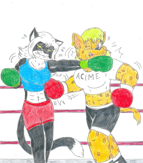Hillary Boxing Boxing Fudgy vs Hillary by Jose-Ramiro on DeviantArt
