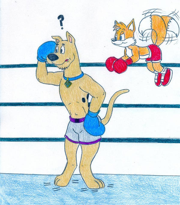 Deviantart Tails Boxing Boxing Scooby vs Tails by Jose-Ramiro on DeviantArt
