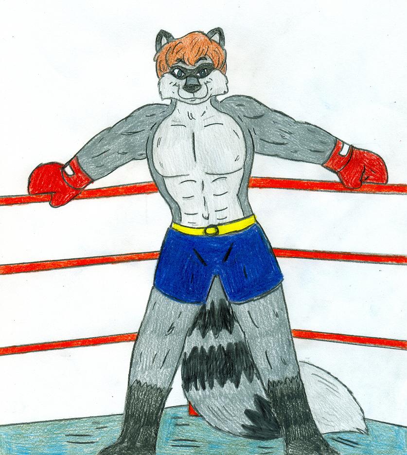 Deviantart Ringtail Bandit Ringtail by Jose-Ramiro on DeviantArt