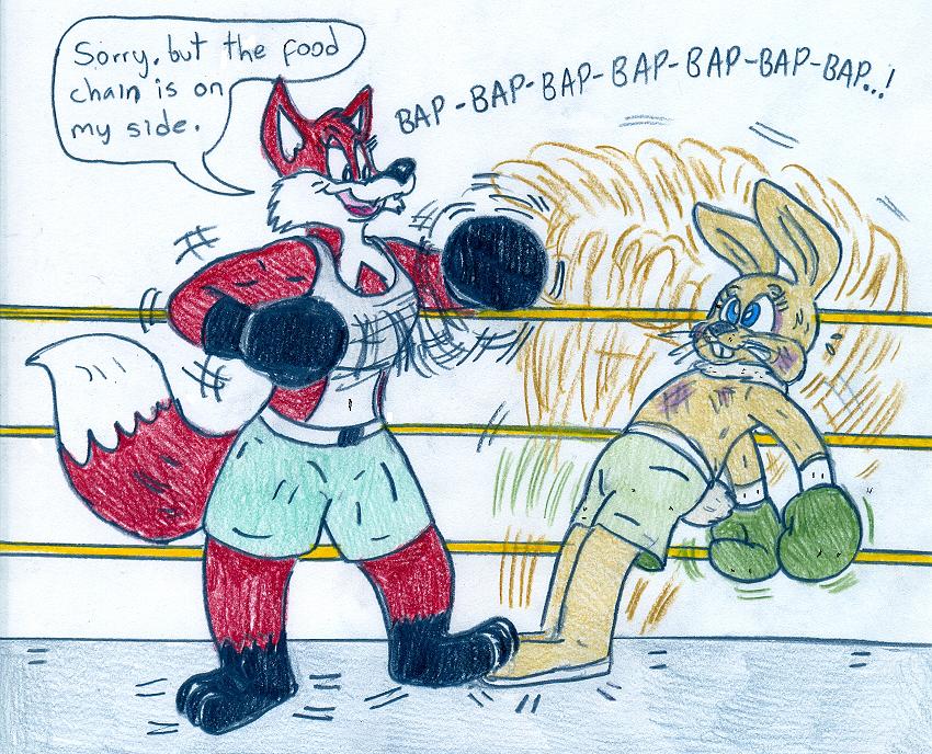 Boxing Fox vs Bunny