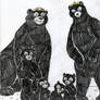 Brave Bear Family