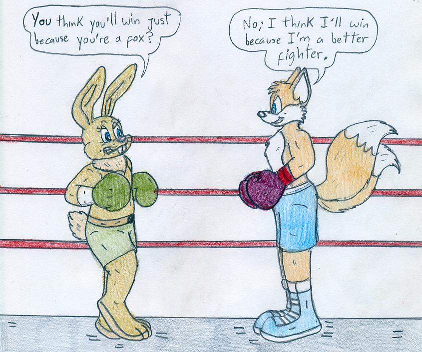 Deviantart Tails Boxing Boxing Tails vs Nu Pogodi Bunny by Jose-Ramiro on DeviantArt